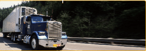 The image displays one the most useful trucking companies moving on the ro